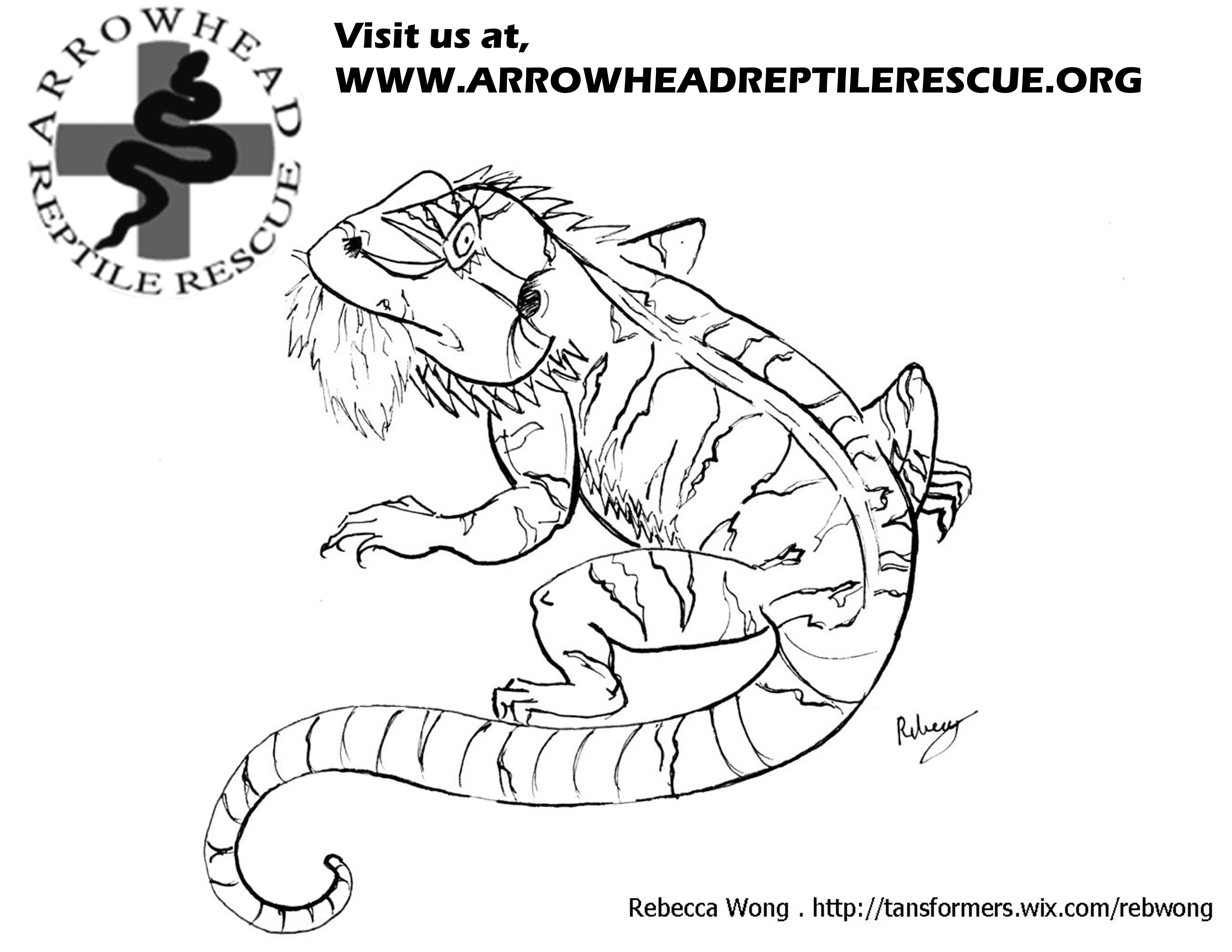 Arrowhead Reptile Rescue